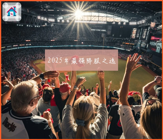 2025年最强降服之选