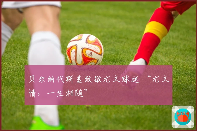 贝尔纳代斯基致敬尤文球迷 “尤文情，一生相随”