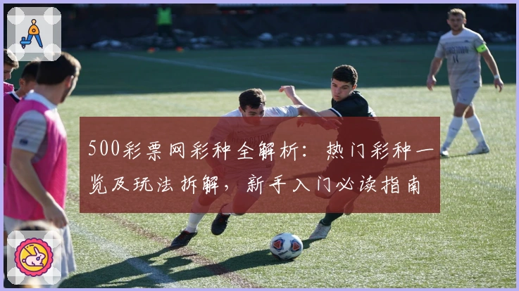500彩票网彩种全解析:热门彩种一览及玩法拆解,新手入门必读指南